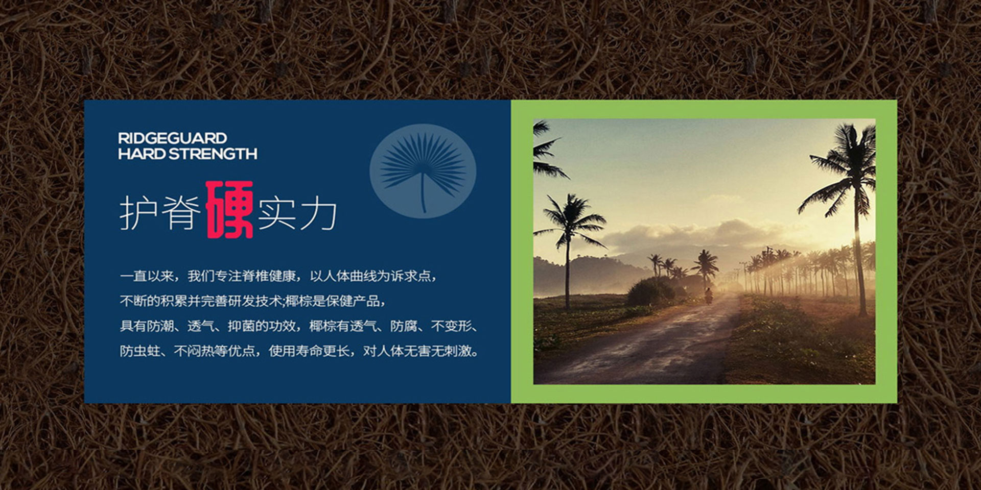 91香蕉视频汚