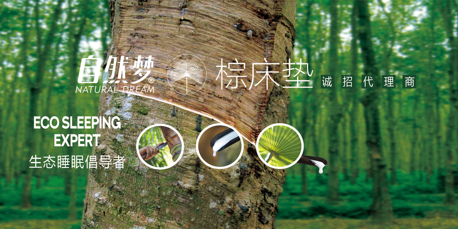 91香蕉视频汚