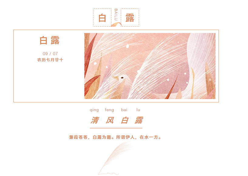 91香蕉视频汚